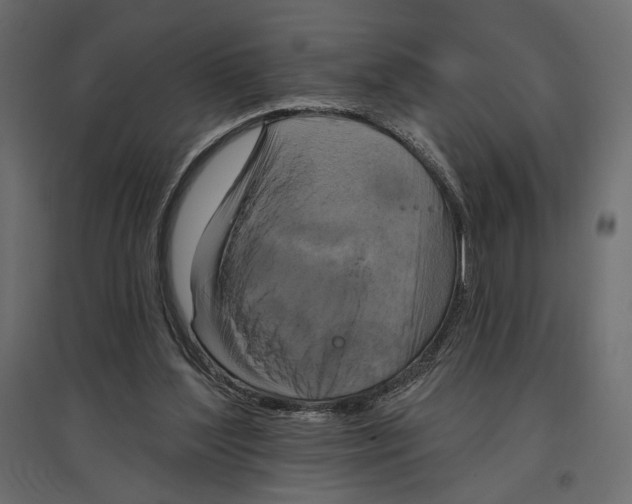 X0000096970204200803071014
