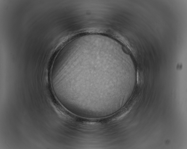 X0000096970205200803071014