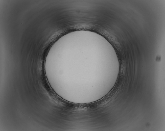 X0000096970206200803071014