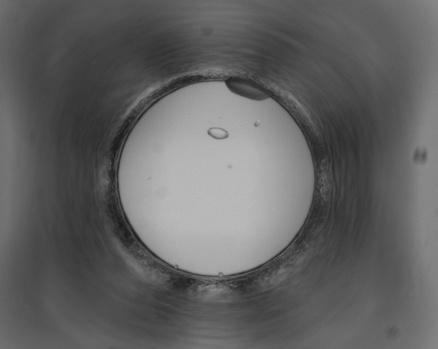 X0000096970208200803071014