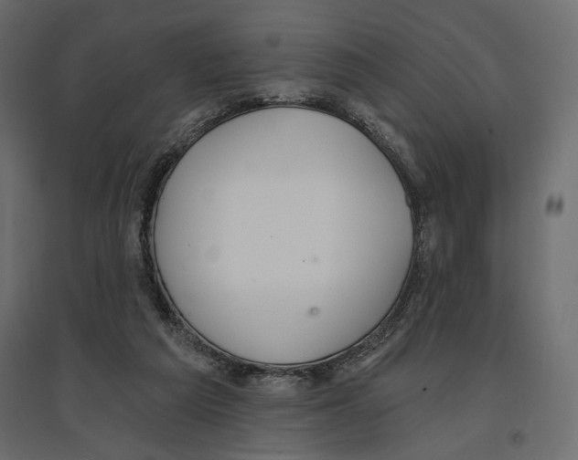 X0000096970209200803071014
