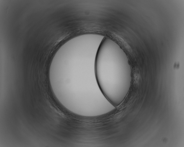 X0000096970211200803071014