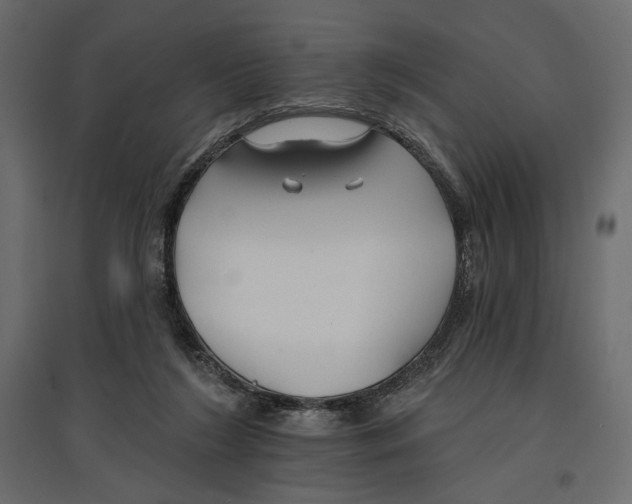 X0000096970212200803071014