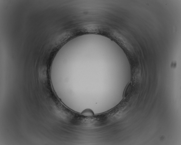 X0000096970213200803071014