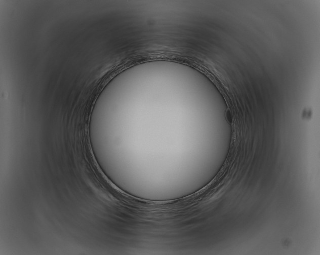 X0000096970215200803071014
