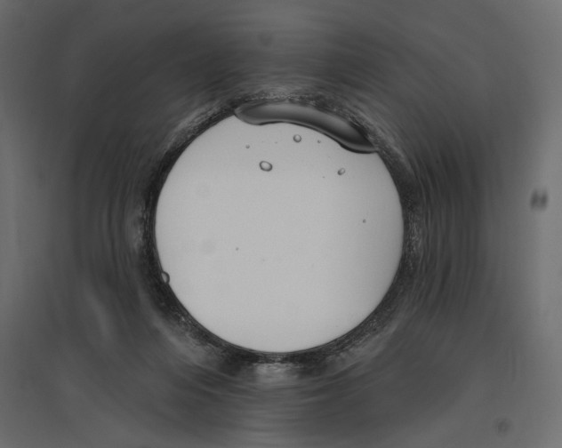 X0000096970216200803071014