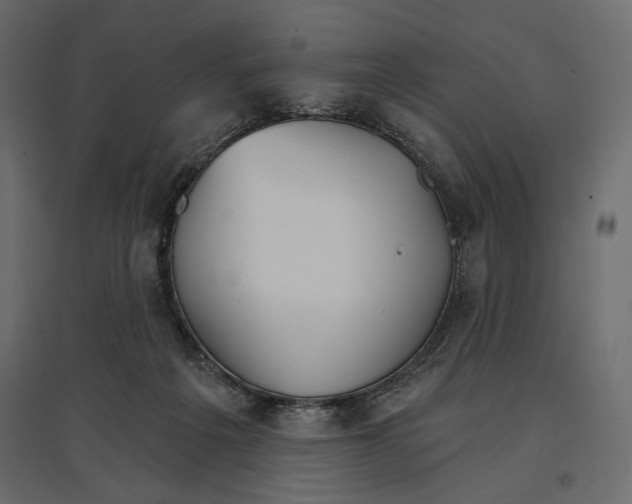 X0000096970217200803071014