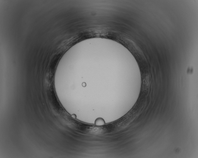 X0000096970218200803071014