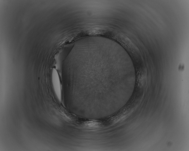 X0000096970219200803071014