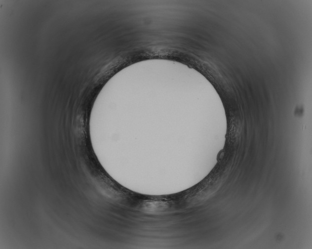X0000096970220200803071014