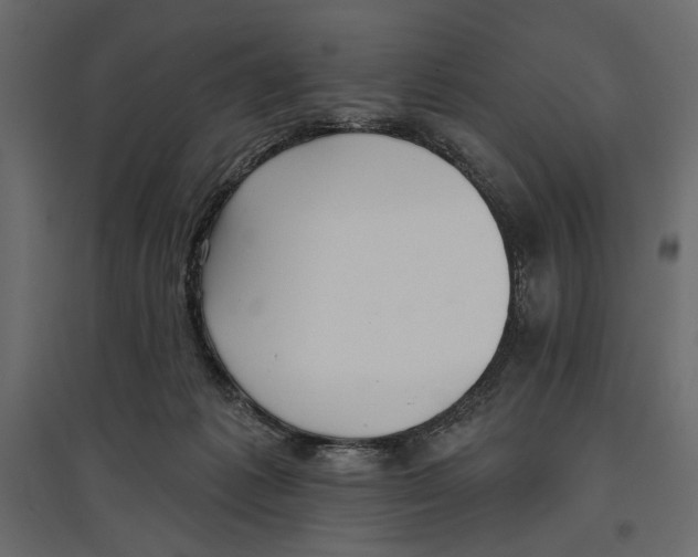 X0000096970221200803071014