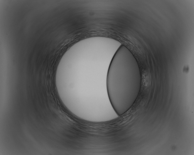 X0000096970223200803071014