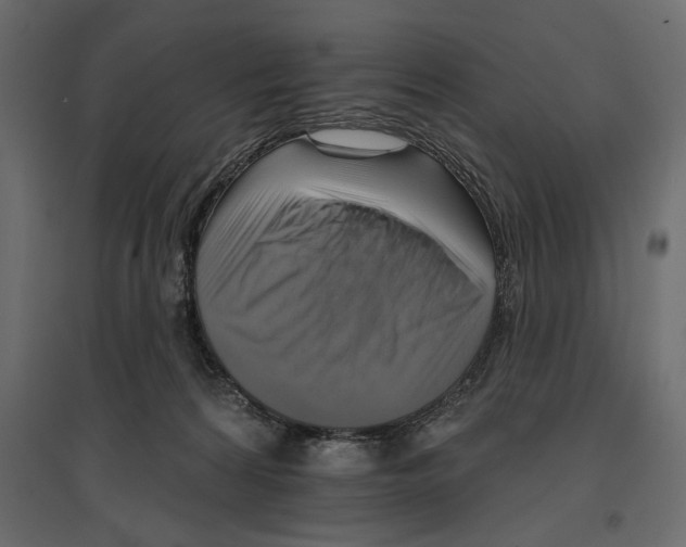 X0000096970224200803071014