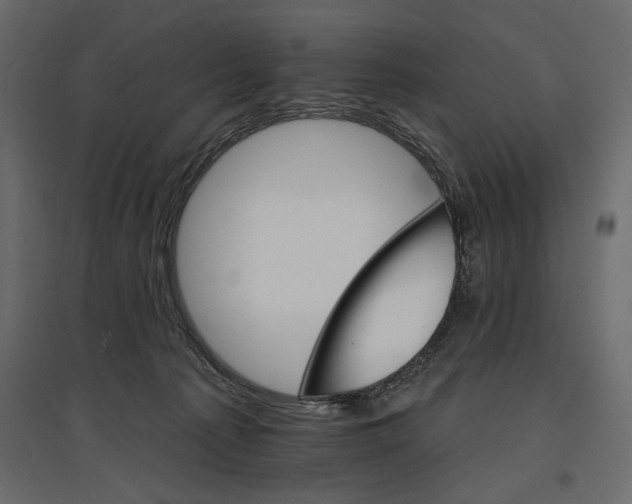 X0000096970225200803071014