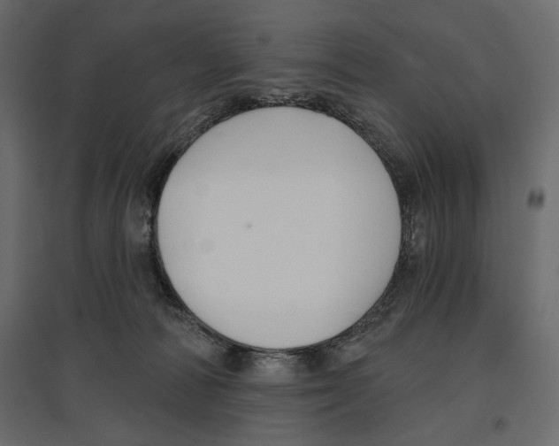 X0000096970226200803071014