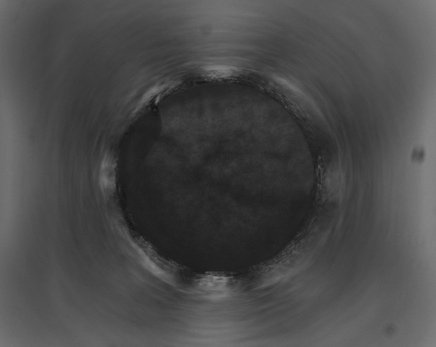 X0000096970227200803071014
