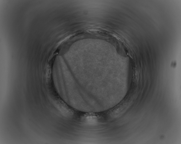 X0000096970228200803071014