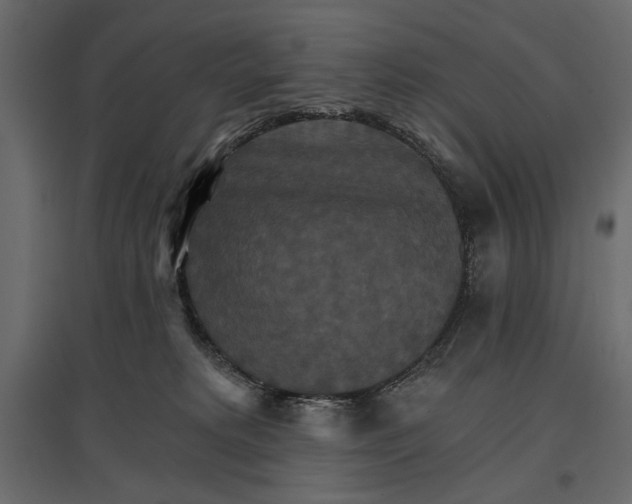 X0000096970229200803071014