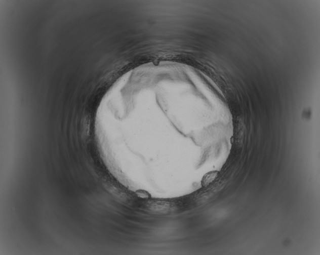 X0000096970230200803071014