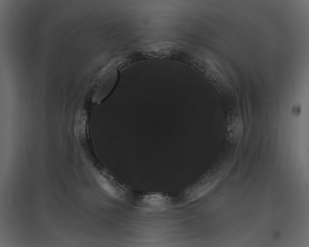 X0000096970231200803071014