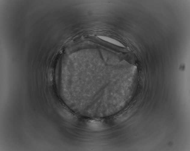 X0000096970232200803071014
