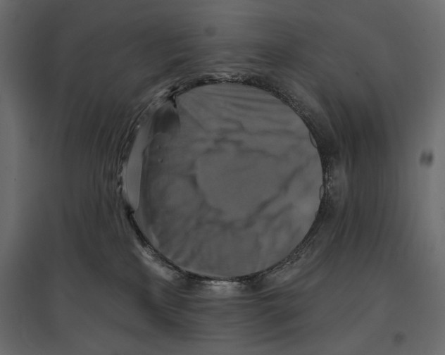 X0000096970233200803071014