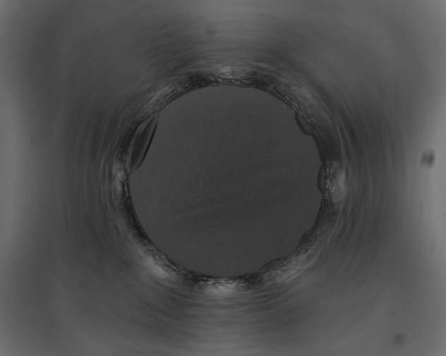 X0000096970235200803071013