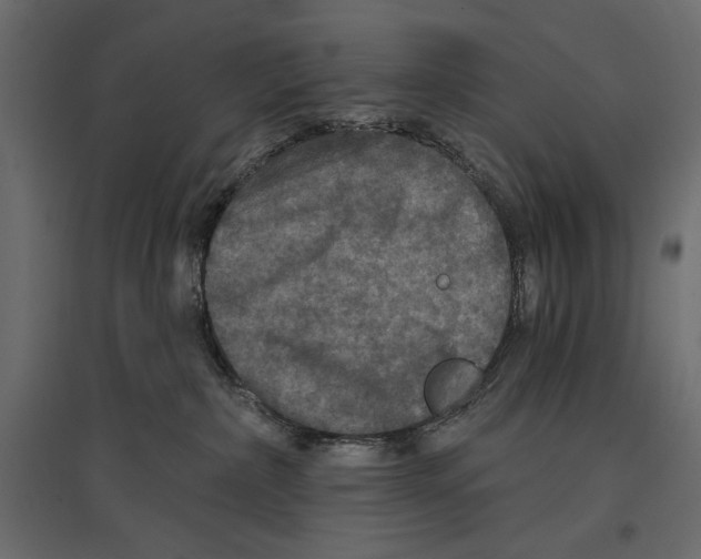 X0000096970236200803071013