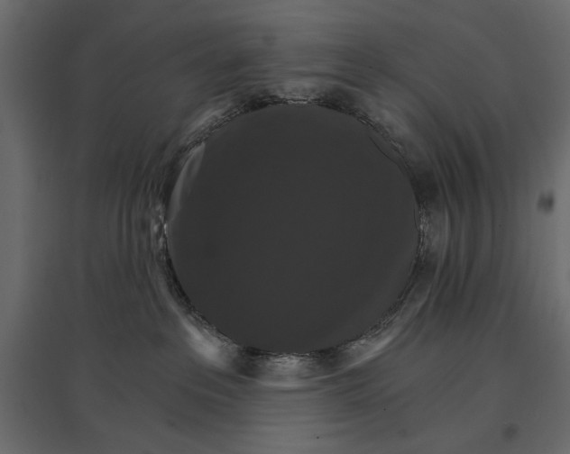 X0000096970237200803071013