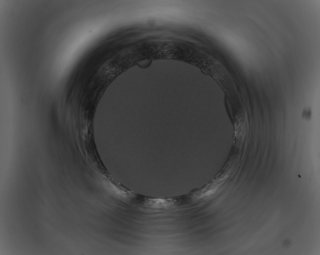 X0000096970239200803071013