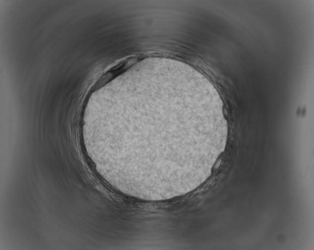 X0000096970241200803071013