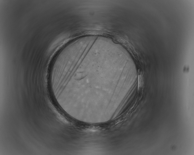 X0000096970243200803071013