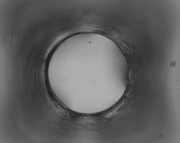 X0000096970244200803071013