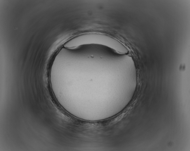 X0000096970245200803071013