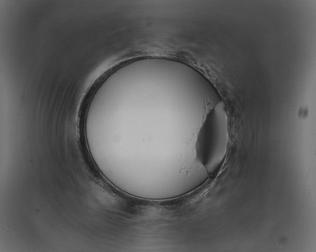 X0000096970246200803071013