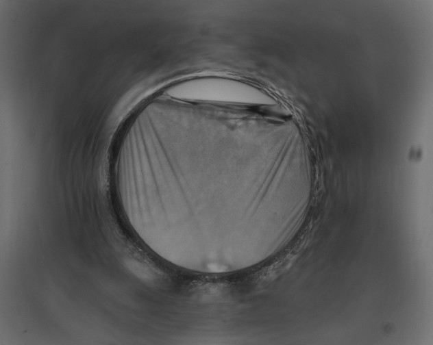 X0000096970247200803071013