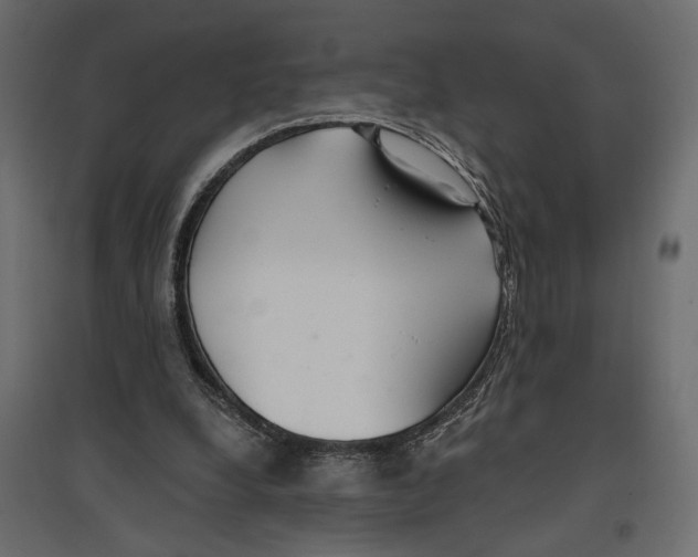 X0000096970248200803071013