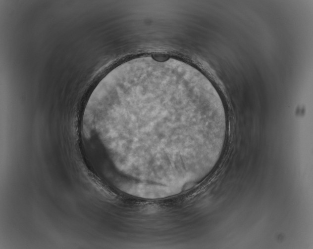 X0000096970249200803071013