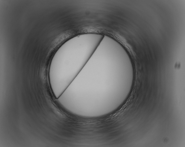 X0000096970250200803071013