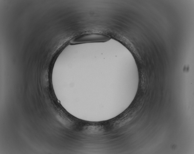 X0000096970251200803071013