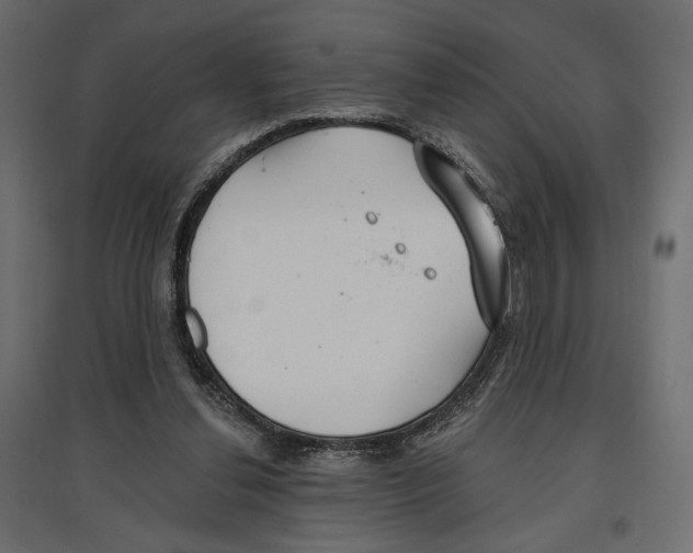X0000096970252200803071013