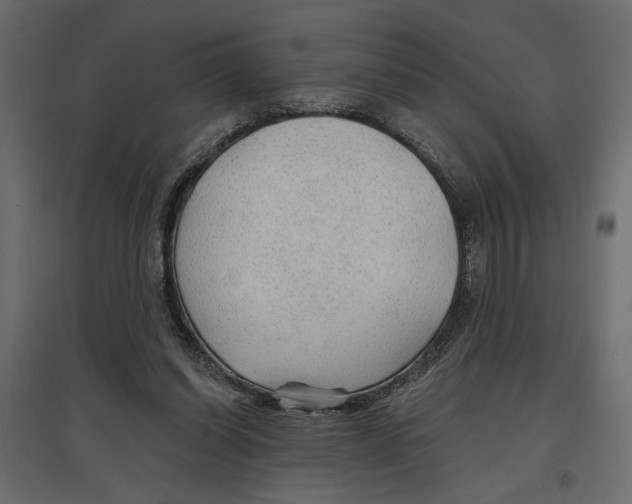 X0000096970254200803071013