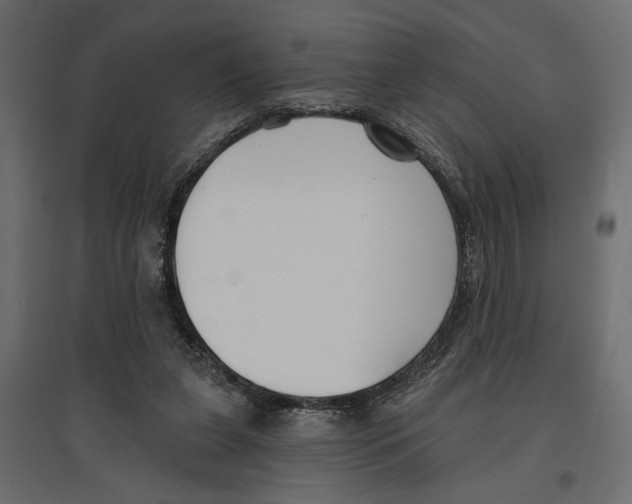 X0000096970255200803071013