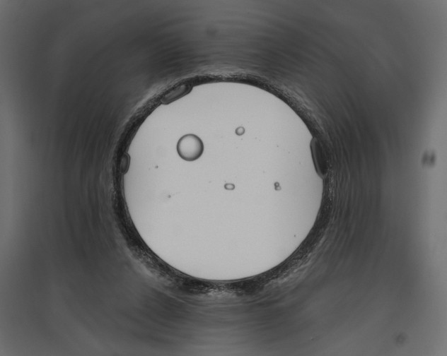 X0000096970256200803071013