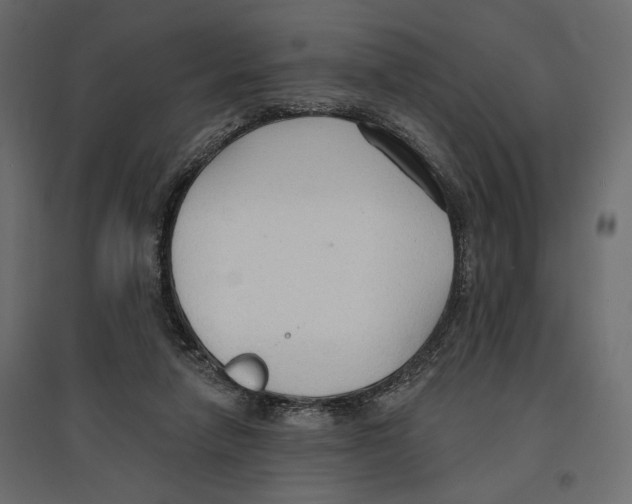 X0000096970258200803071013