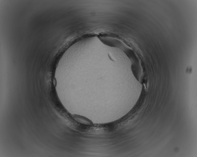 X0000096970260200803071013