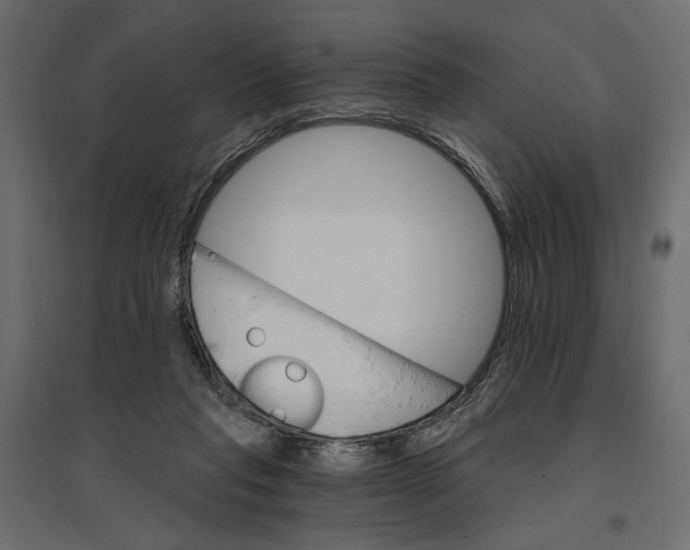 X0000096970261200803071013