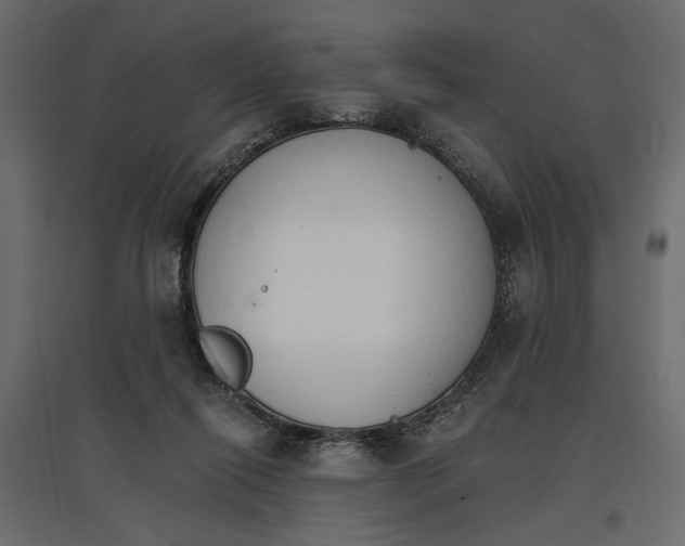 X0000096970262200803071013