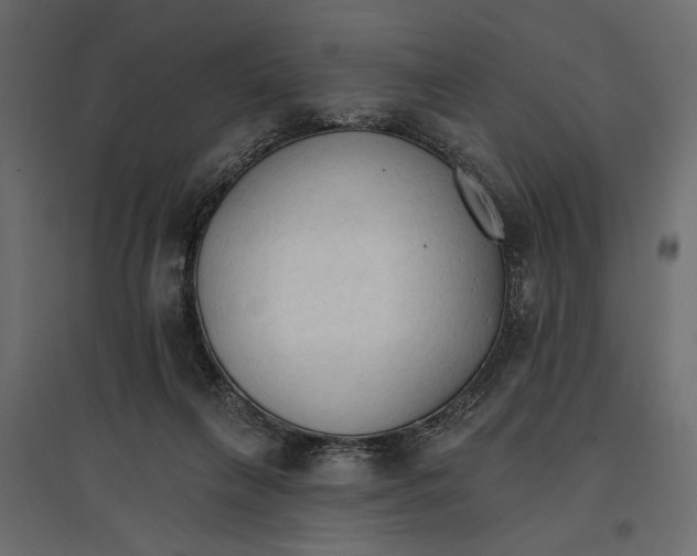 X0000096970263200803071013