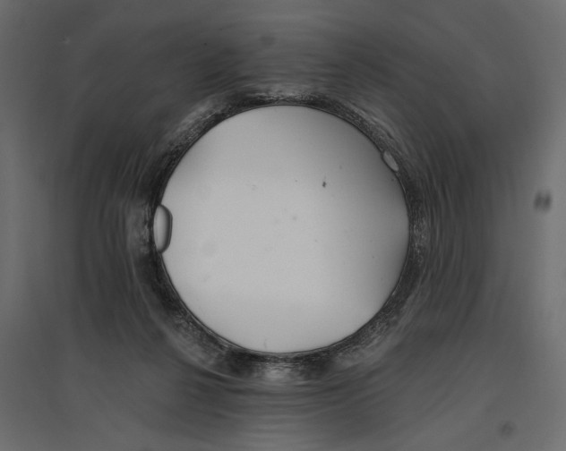 X0000096970264200803071013